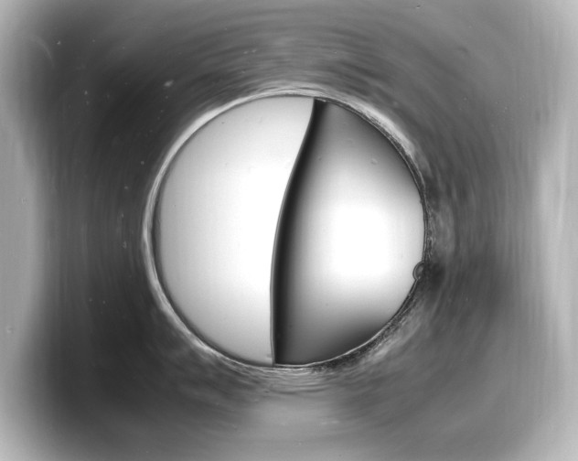 X0000098181007200804241026