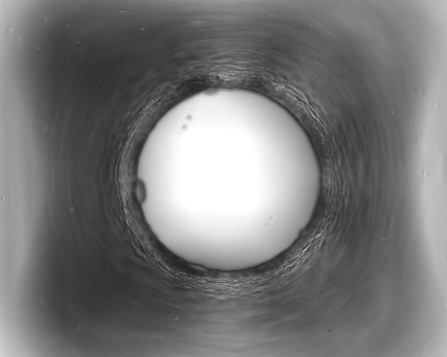 X0000098181009200804241026