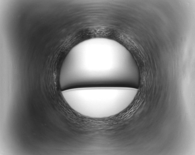 X0000098181010200804241026