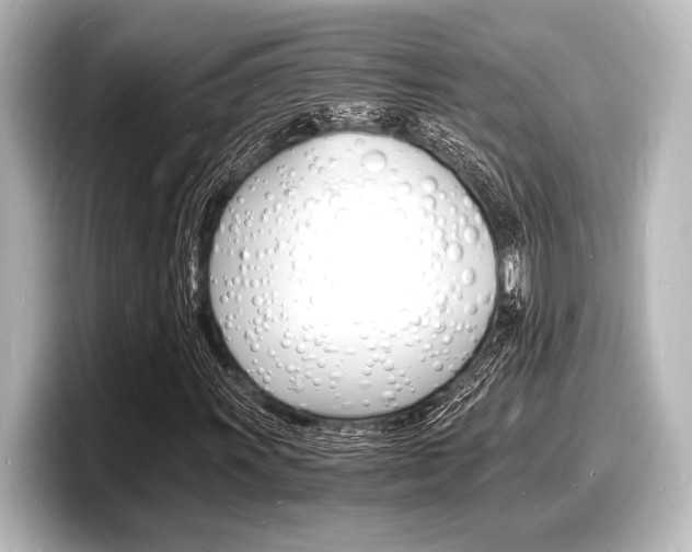 X0000098181011200804241026