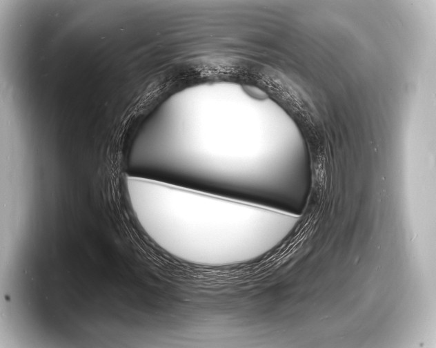 X0000098181012200804241026
