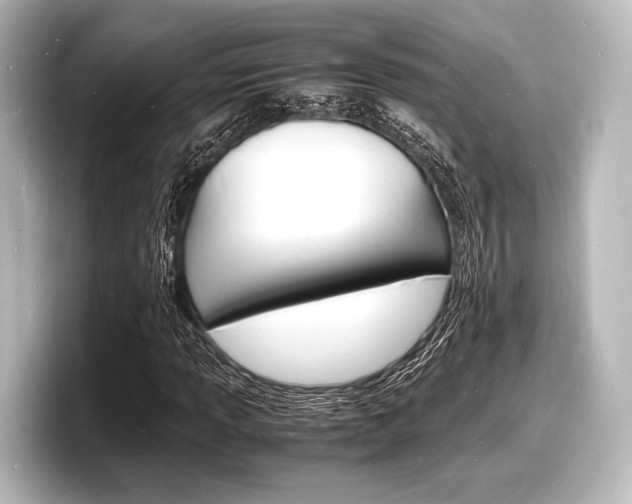 X0000098181013200804241026