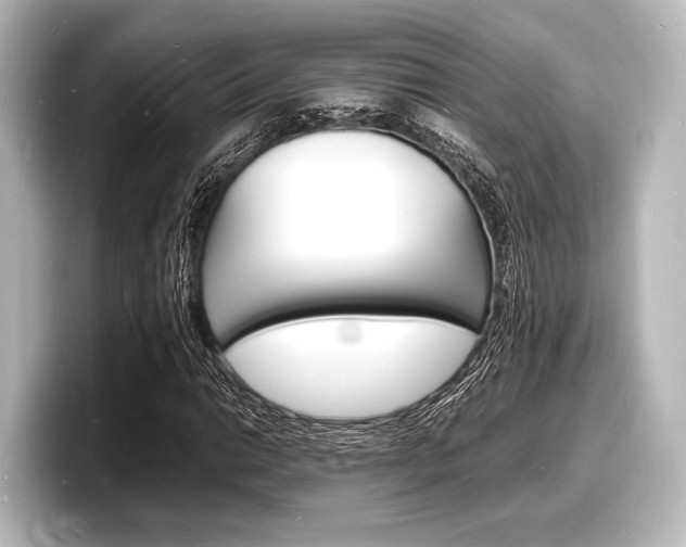 X0000098181014200804241026
