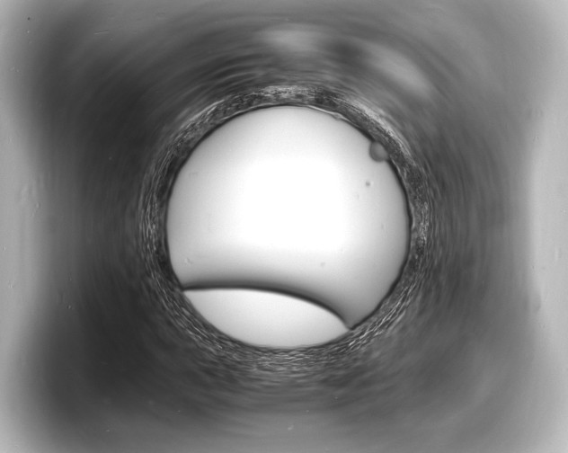 X0000098181015200804241026