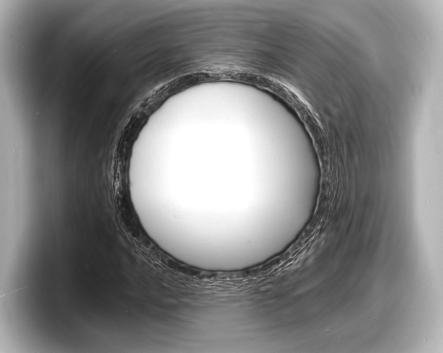 X0000098181016200804241026