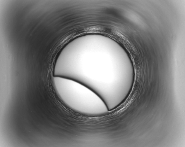 X0000098181017200804241026