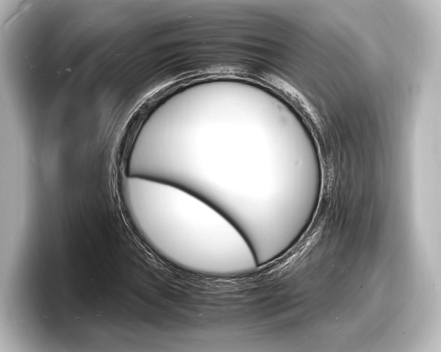X0000098181019200804241026