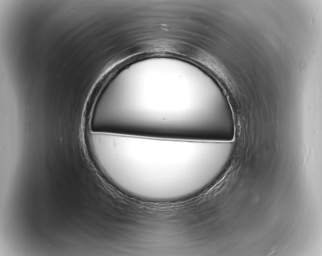 X0000098181020200804241026