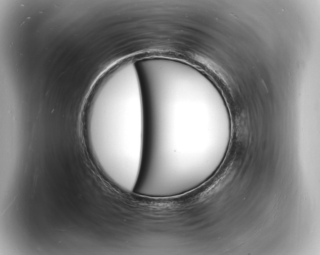 X0000098181021200804241026