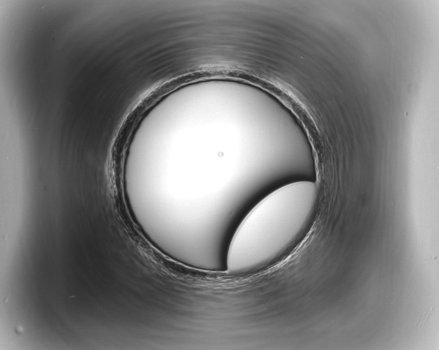 X0000098181022200804241026