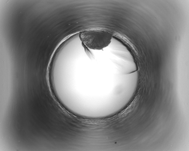 X0000098181024200804241026