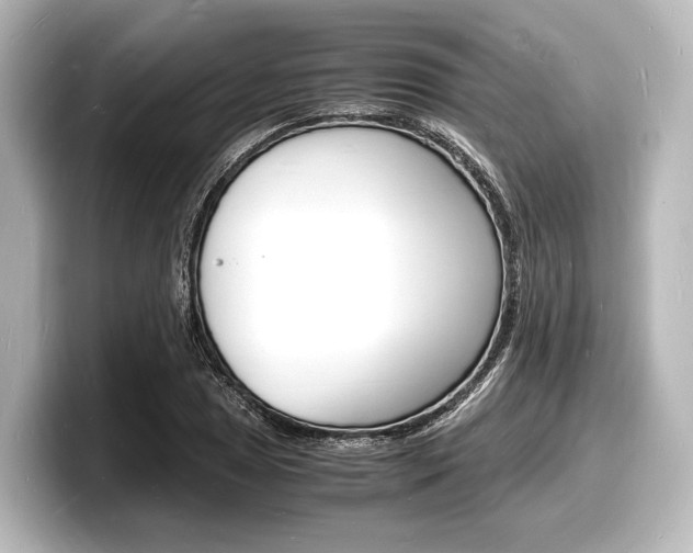 X0000098181025200804241026