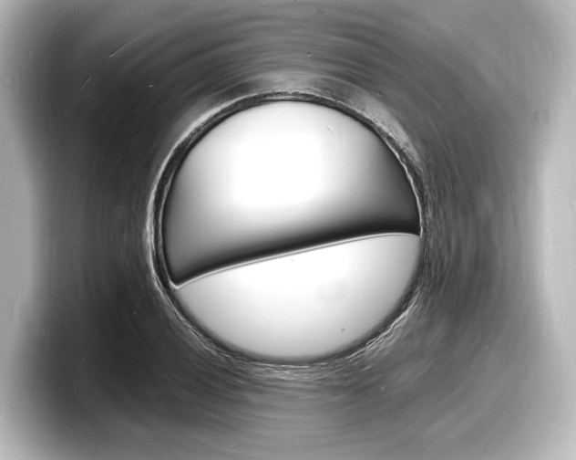 X0000098181028200804241026