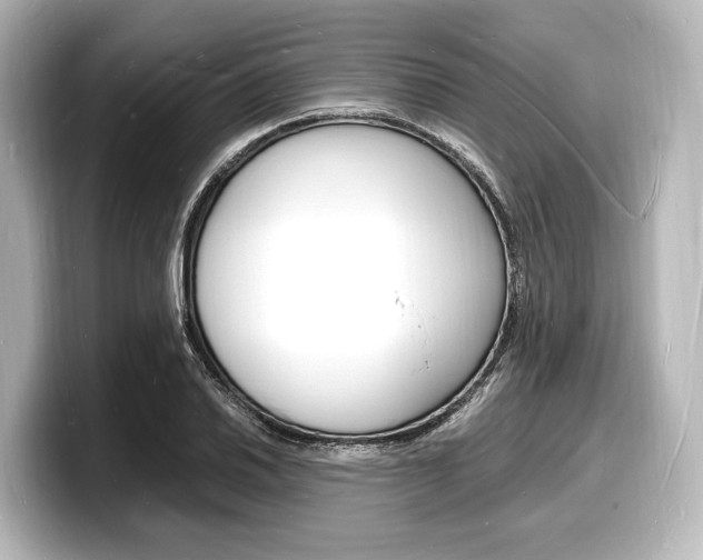 X0000098181030200804241026