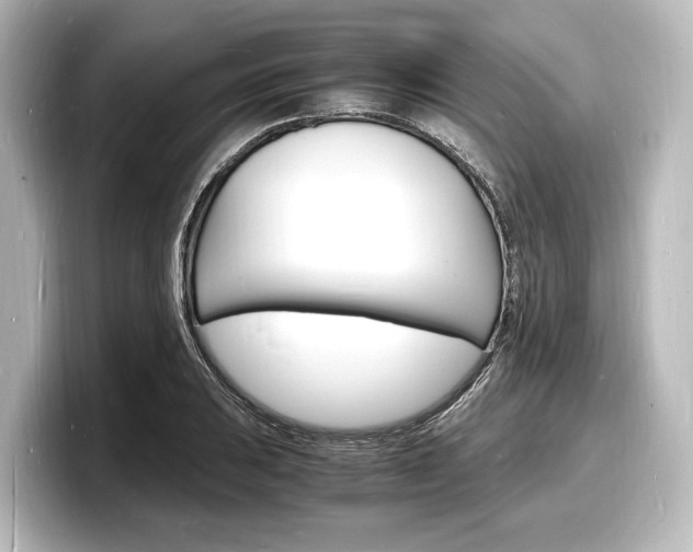X0000098181031200804241026