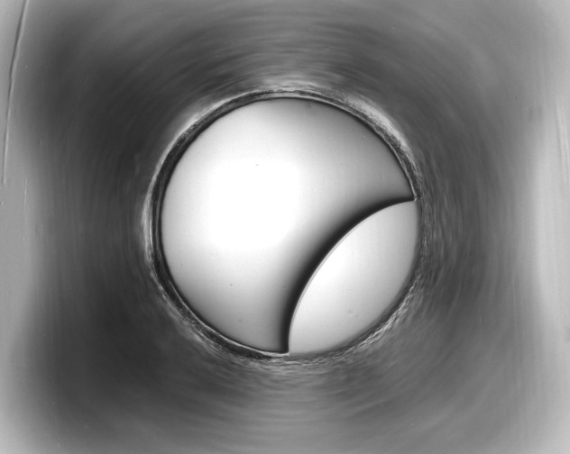 X0000098181032200804241026