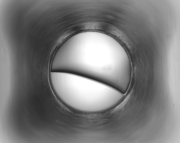 X0000098181033200804241026