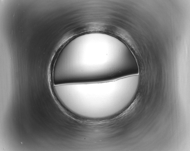 X0000098181034200804241026