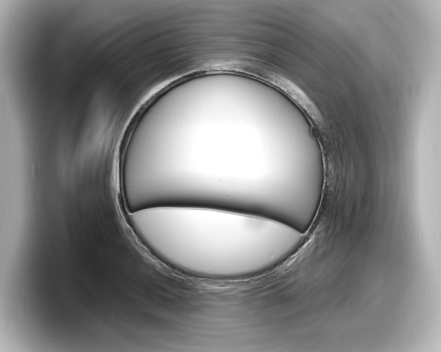 X0000098181036200804241026