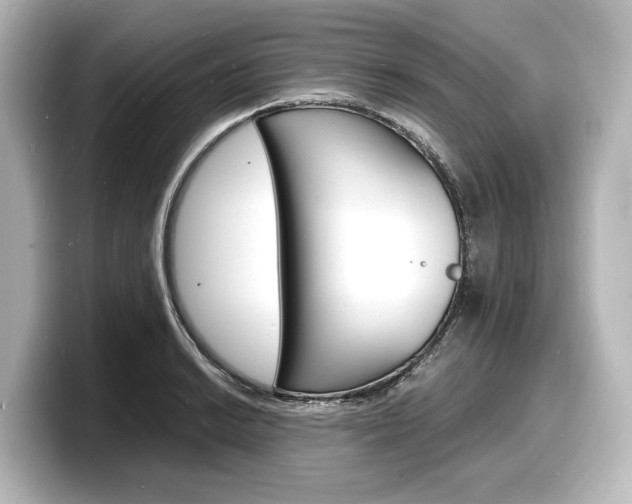 X0000098181038200804241026