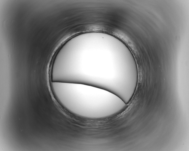 X0000098181039200804241026
