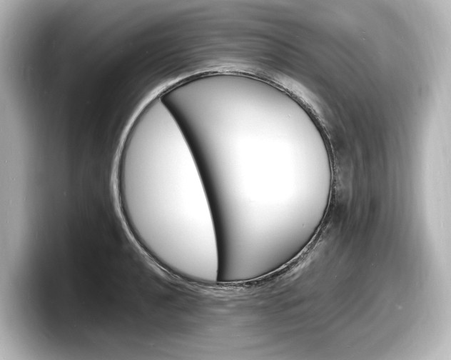 X0000098181040200804241026
