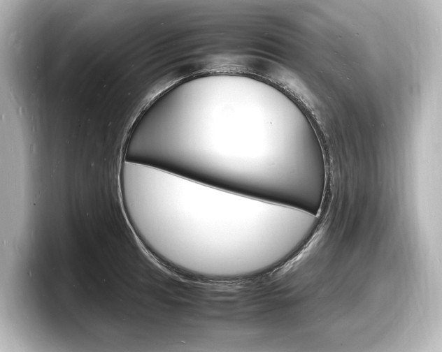 X0000098181041200804241026