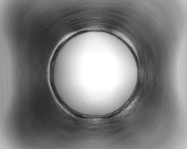 X0000098181045200804241026
