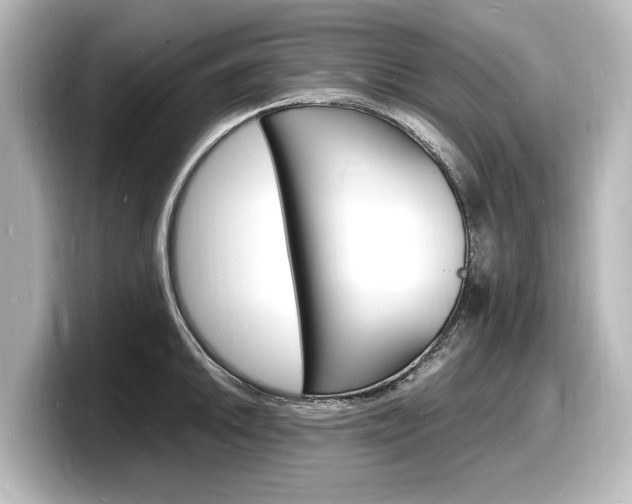 X0000098181046200804241026