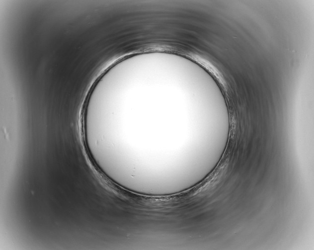 X0000098181047200804241026
