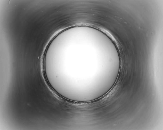 X0000098181048200804241026
