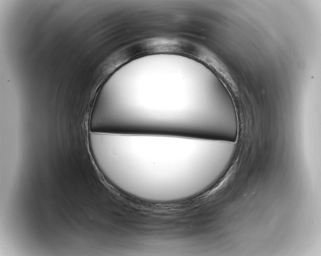X0000098181049200804241026