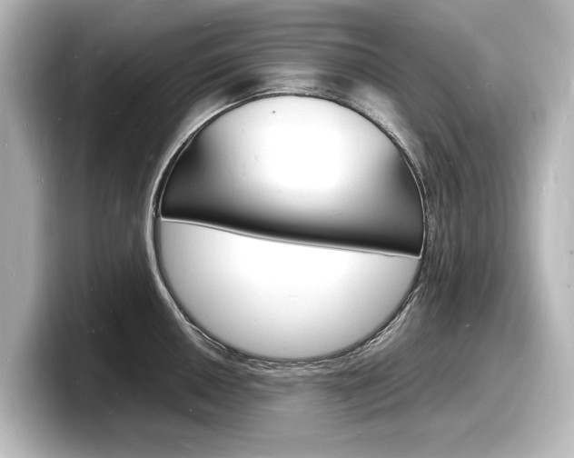 X0000098181050200804241026