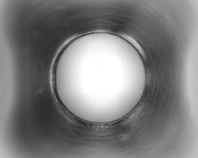 X0000098181051200804241026