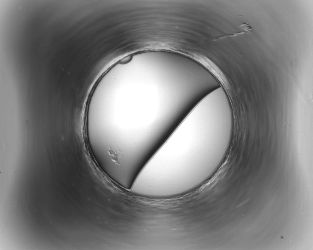 X0000098181052200804241026