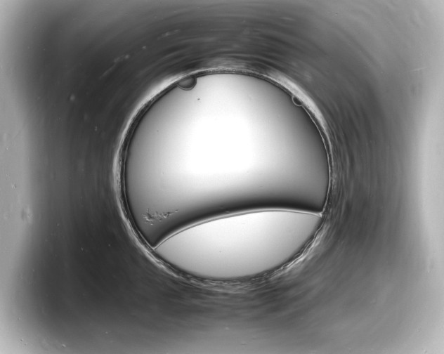 X0000098181053200804241026