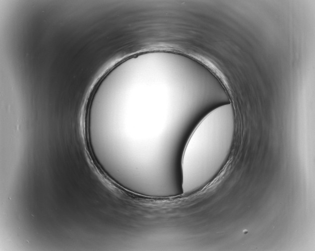 X0000098181054200804241026