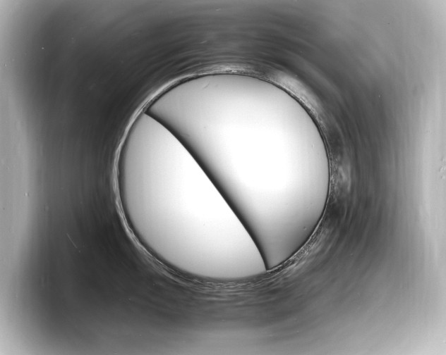 X0000098181055200804241026