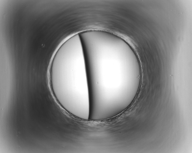 X0000098181056200804241026
