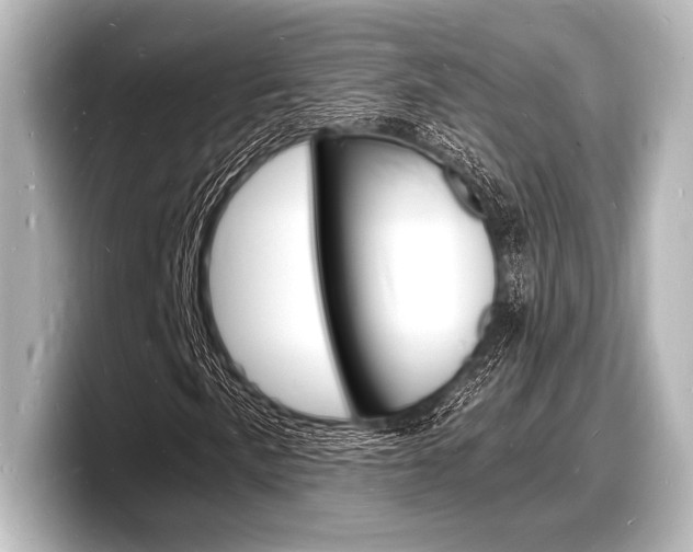 X0000098181057200804241026