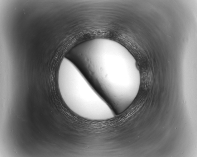 X0000098181058200804241026