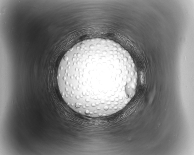 X0000098181059200804241026