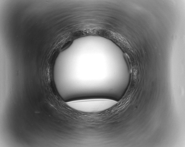 X0000098181060200804241026