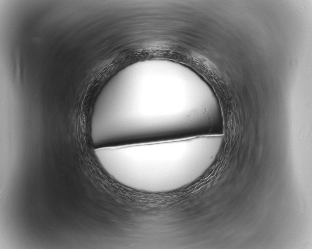 X0000098181062200804241026