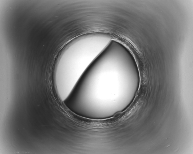 X0000098181065200804241025