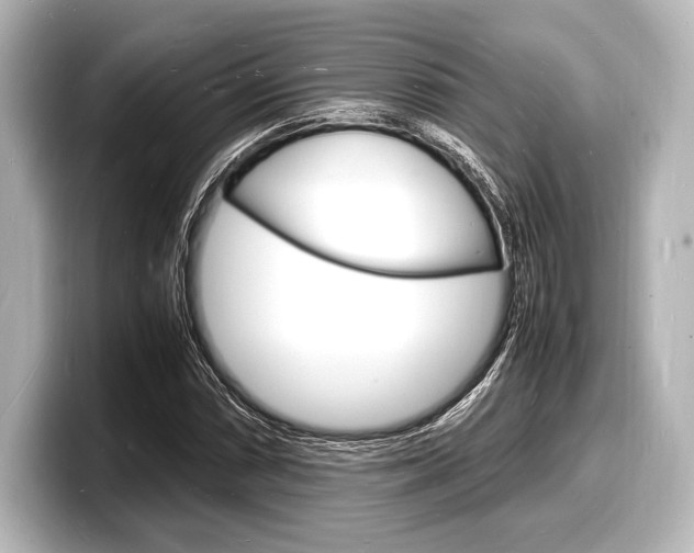 X0000098181066200804241025
