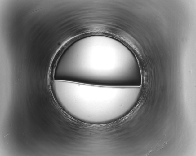 X0000098181068200804241025