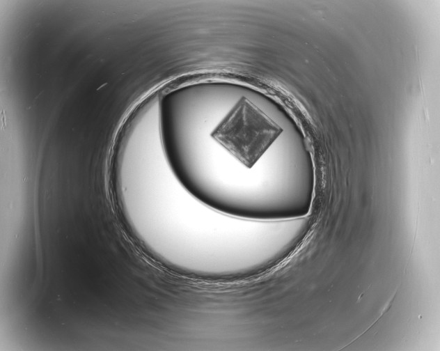 X0000098181069200804241025
