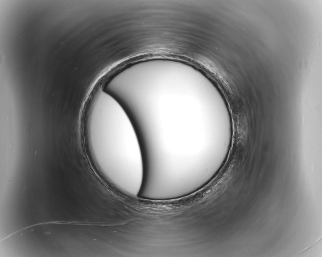 X0000098181070200804241025
