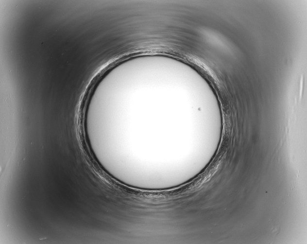 X0000098181071200804241025